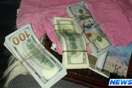 Azərbaycandan gəmi ilə xarici valyuta çıxarmaq istədilər - FOTO