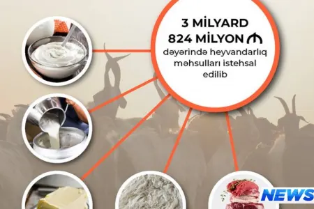 Ötən il ölkədə 3 milyard 824 milyon manat dəyərində heyvandarlıq məhsulları istehsal edilib
