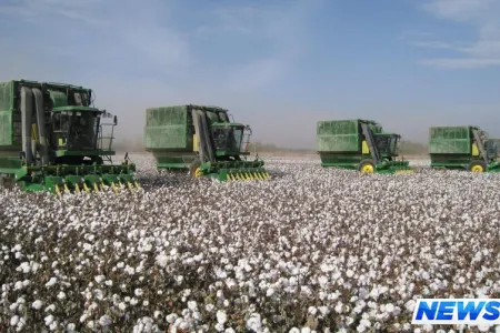 Pambıqçılığın inkişafına həsr olunmuş növbəti müşavirə keçirilib