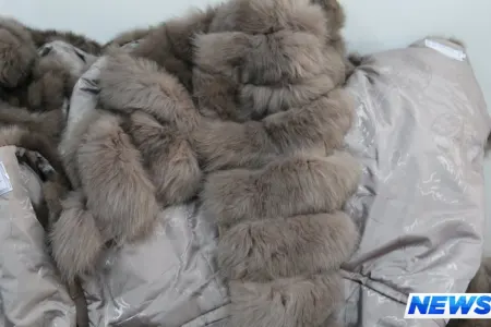 Qadın xəz geyimləri aşkarlanıb