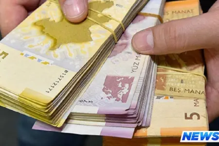 Gül kələmi adı ilə ölkədən 30 milyon çıxarmaq istədi - Yeddi il həbsdə yatacaq