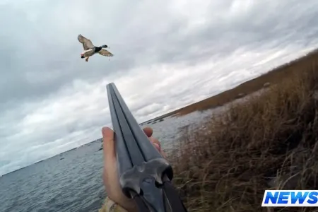 Azərbaycanda qanunsuz ov etmək istəyən ərəb saxlanıldı