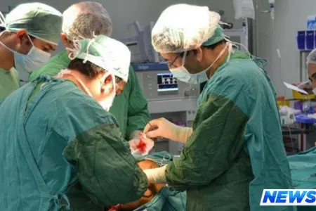 Tibb Universitetində açılacaq yeni ixtisasların adı bilindi