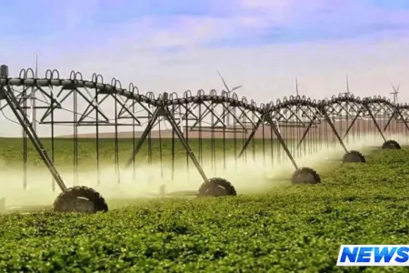 İki rayonun qış otlaqlarında meliorasiya işləri üçün 30 milyon manat ayrılıb