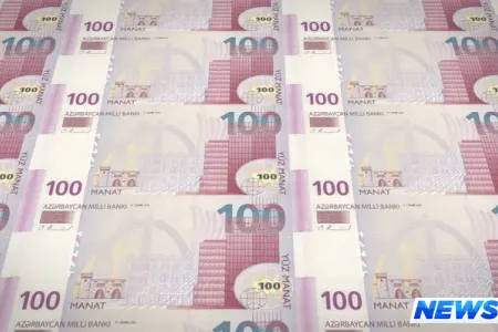 Manatın bu günə məzənnəsi