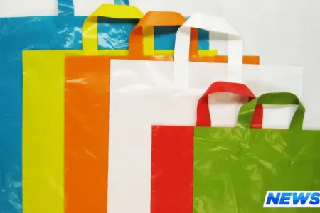 Polietilen torbaların alternativi olan qablaşdırma vasitələrindən istifadə genişləndirilməlidir