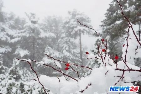 Bu gecə Kiçik çillə bitir