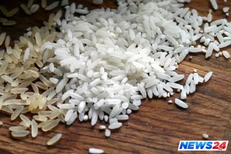 Saxta düyünü əsil düyüdən neçə fərqləndirək? – 4 TEST