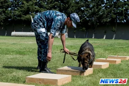 Azərbaycandan 12 ölkəyə axtarış itləri göndərilib: birinin qiyməti 15 min avrodur