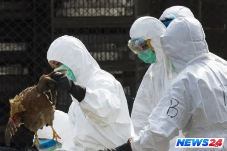 “Quş qripi” ilə bağlı monitorinq başlanıb və ilkin nümunələr götürülüb