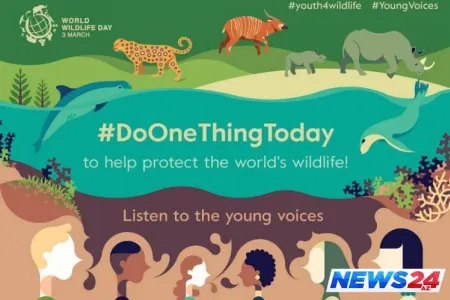 Bu gün “Ümumdünya Vəhşi Təbiət Günü”dür