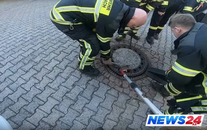 Siçovulu belə xilas etdilər - FOTO