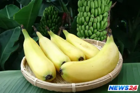 Yaponiyada qabığı yeyilən banan icad edildi - FOTO