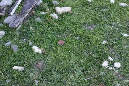 Sumqayıtda əl qumbarası tapılıb