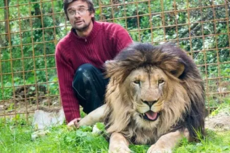 Şir öz sahibini parçaladı, meyiti götürmək üçün heyvanı öldürmək lazım gəldi