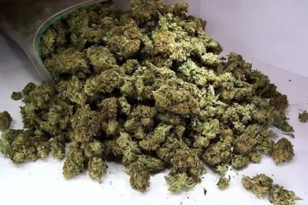 Gömrükçülər avtomobildə narkotik vasitə aşkarlayıb