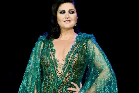 Sibel Can konsert zamanı hücuma məruz qaldı - FOTO - VİDEO