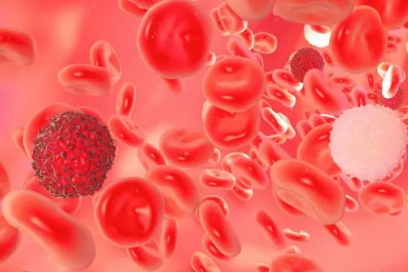 Azərbaycanda üç nadir beta-talassimik mutasiya aşkar edilib