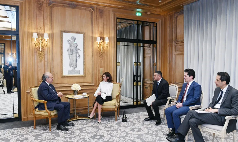 Mehriban Əliyeva Fransanın Milli Xərçəng İnstitutunun təsisçisi ilə görüşüb