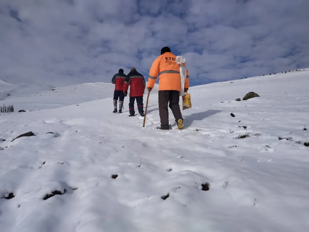 Böyük və Kiçik Qafqazın yüksək dağlıq ərazilərinə ekspedisiyalar təşkil edilib