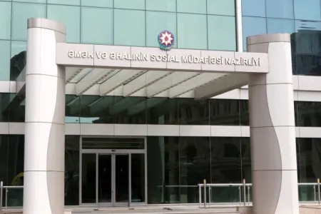 2019-cu il üçün özünüməşğulluq proqramı üzrə təlimlərə başlanır - FOTO