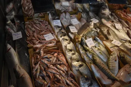 Əhaliyə xəbərdarlıq: Balığı hər yerdən almayın - SOS