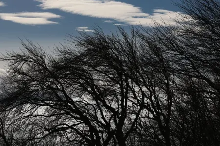 XƏBƏRDARLIQ: Güclü külək başlayır