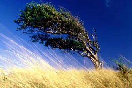 Külək əsəcək, yağış yağacaq - XƏBƏRDARLIQ