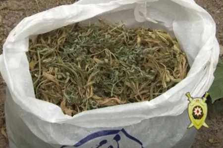 Masallı sakininin evindən narkotik maddələr aşkarlandı