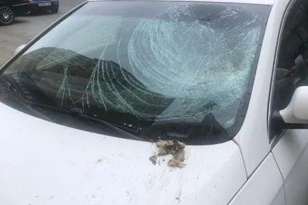 Bakıda iyrənc hadisə - DƏHŞƏT - FOTO