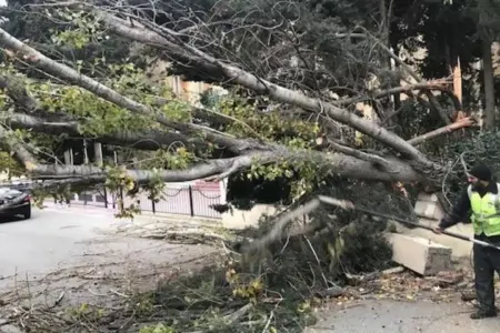 Güclü külək nəticəsində paytaxtda fəsadlar baş verib - AÇIQLAMA