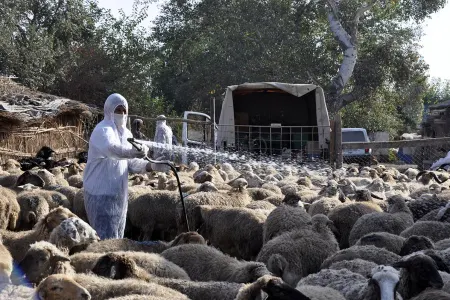 Qida Təhlükəsizliyi Agentliyindən əhaliyə XƏBƏRDARLIQ