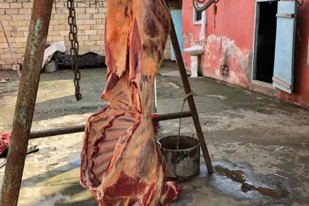 150 kiloqram - YARARSIZ MAL ƏTİ SATIRMIŞ – Saxlanıldı