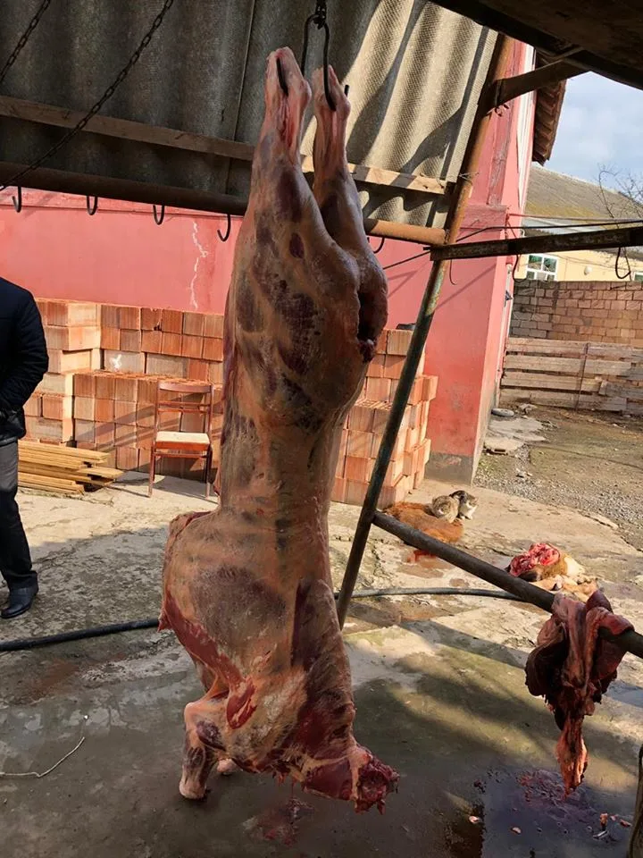150 kiloqram - YARARSIZ MAL ƏTİ SATIRMIŞ – Saxlanıldı