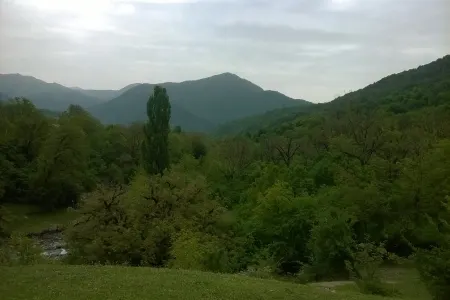 “Azəri-İNT” MMC təbiətə 17080 manat məbləğində - ZİYAN VURDU - FOTO