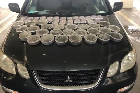 Avtomobildə 13 kilo balıq kürüsü və 700 ədəd siqaret keçirtmək istədi