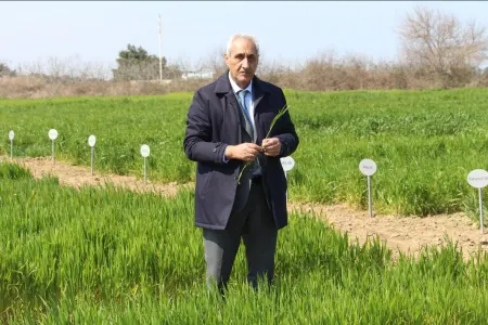 Cavanşir Təlai: " Yaz qulluq işləri məhsuldarlığı müəyyən edən əsas amildir "