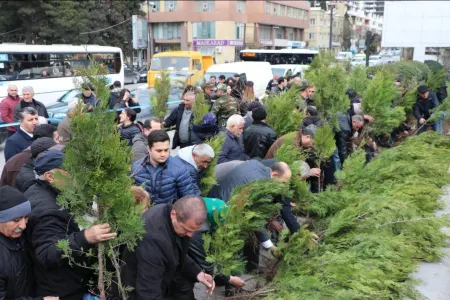 Bakıda ağac tinglərinin paylanılması aksiyası davam edir