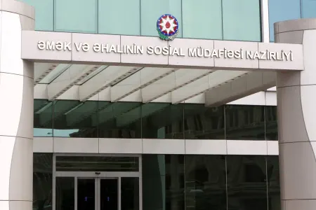 352 nəfər əllilliyi olan şəxs özünüməşğulluq proqramına cəlb edilib