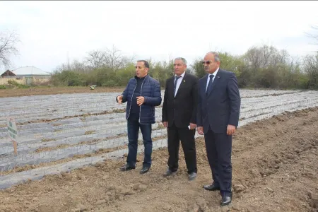 Müasir texnologiya əsasında yeni tingçilik təsərrüfatı yaradılır