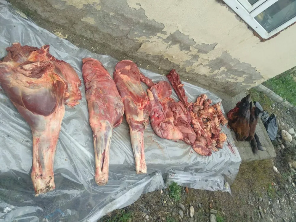 Xaçmazda yararsız at ətləri aşkarlandı - FOTO