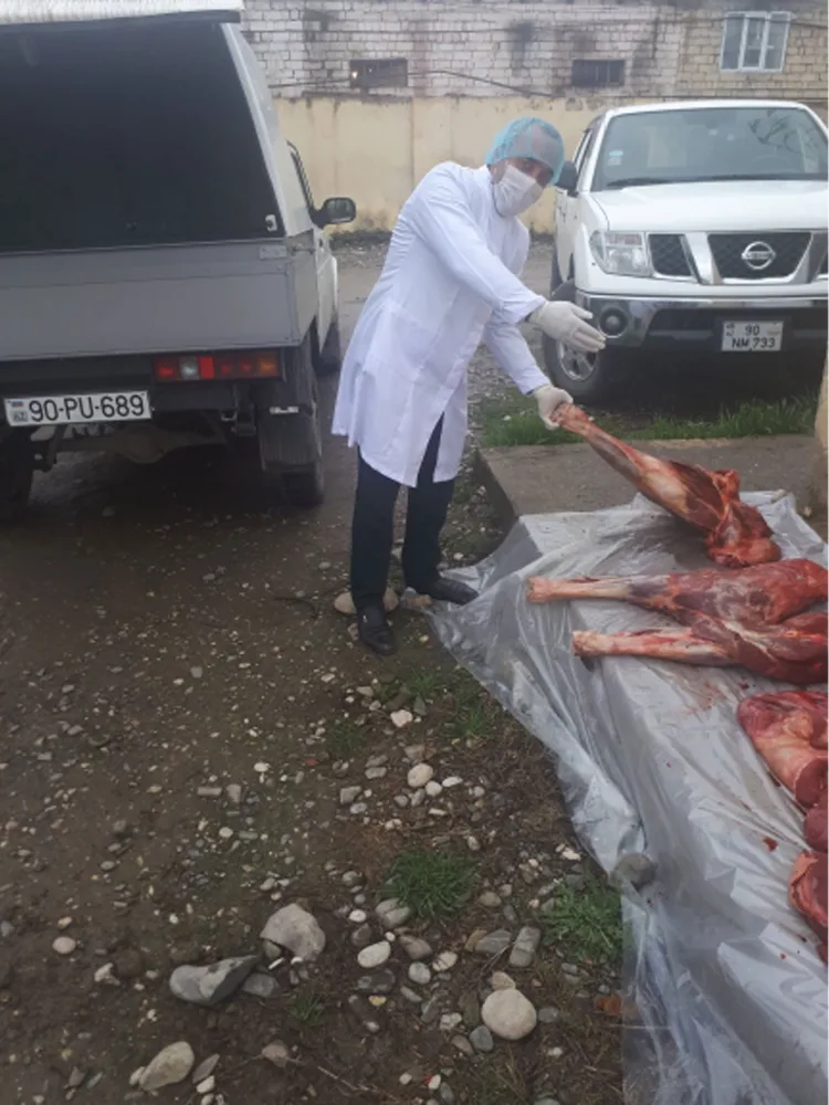 Xaçmazda yararsız at ətləri aşkarlandı - FOTO