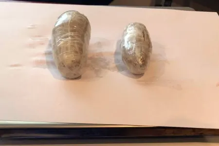 Daxili orqanında 300 qrama yaxın heroin keçirmək istədi