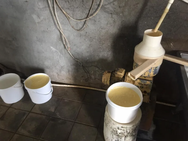 Anti-sanitar pendir sexi aşkarlandı - MASALLIDA - FOTO