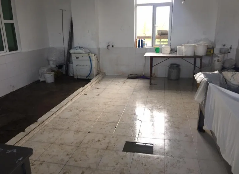 Anti-sanitar pendir sexi aşkarlandı - MASALLIDA - FOTO