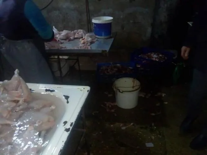 Bakıda anti-sanitar şəraitdə fəaliyyət göstərən toyuq sexi aşkarlanıb - FOTO