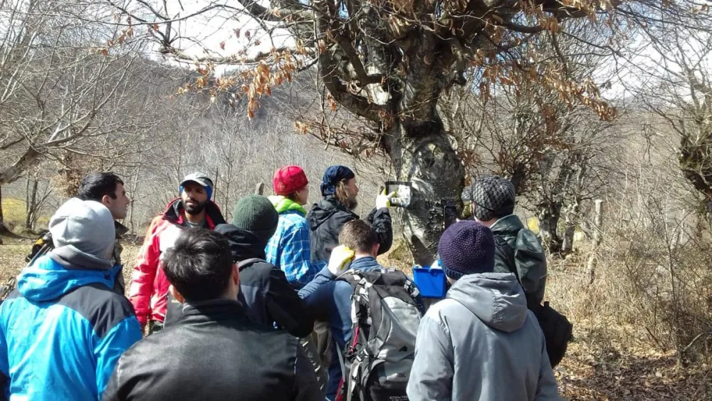 Meşələrdə nişanlanma işləri artıq yekunlaşdırılıb - FOTO