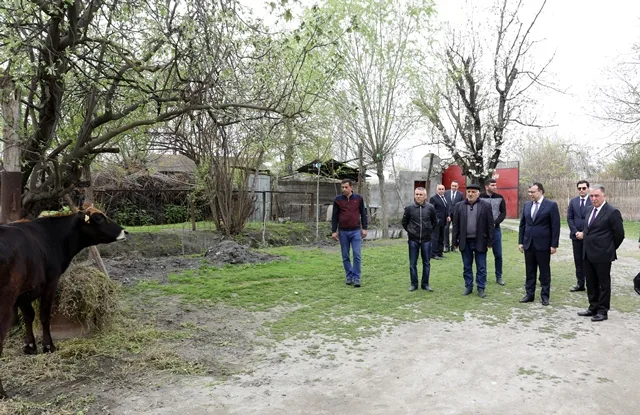 Nazir Ağdaş rayonunda 6 şəhər və rayonun sakinləri ilə görüşüb - FOTO