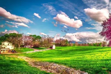 Sabah Bakıda 20 dərəcə isti olacaq