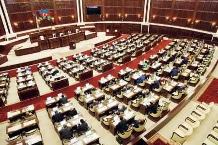 Milli Məclisdə qaradərili deputatlar da ola bilər